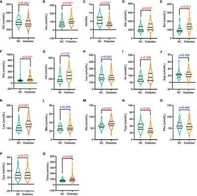 Circulating glutamine/glutamate ratio is closely associated with type 2 diabetes and its associated complications